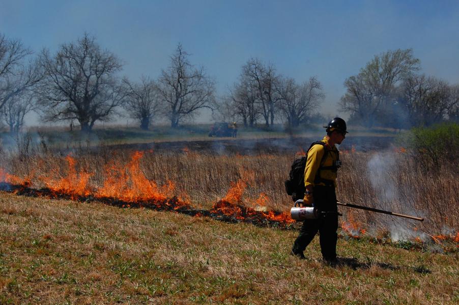 Die Idee hinter der Feuerdrohne: Sie kann die Arbeit bei Brandrodungen für Menschen sicherer machen und zudem das Feuer aus der Luft überwachen.