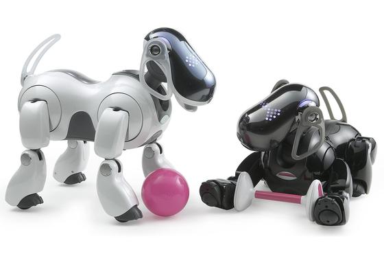 So hat sich Sony bislang Künstliche Intelligenz vorgestellt: Der Roboterhund Aibo kann mit dem Ball spielen (l.) oder an einem künstlichen Knochen knabbern (r.).