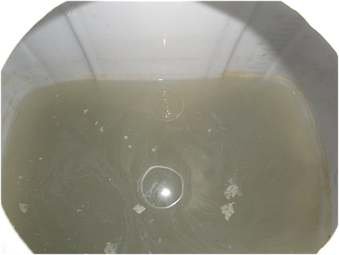 Grauwasser im Auffangbehälter der Versuchsanlage: Das Wasser wird gefiltert und dann für Bewässerungen und die Toilettenspülung benutzt.