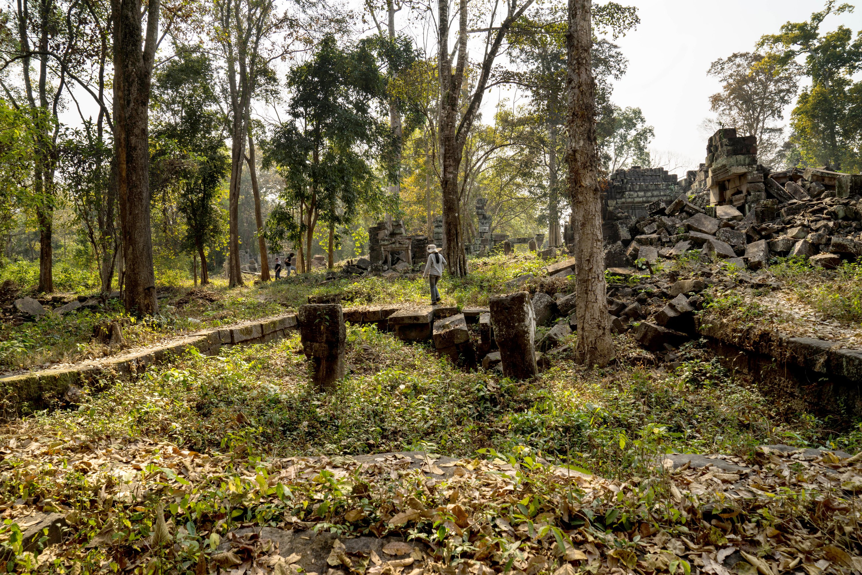 Die Ruinen der buddhitischen Tempelanlage Preah Khan von Kompong Svay in Kambodscha sind von Pflanzen und Laub verdeckt.