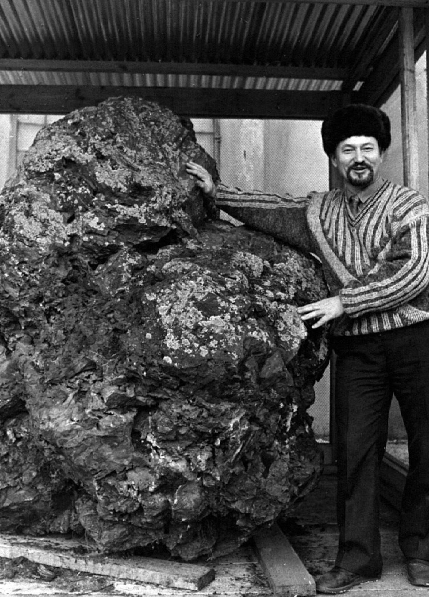 Ein Mann steht im sibirischen Krasnojarsk neben einem Gesteinsbrocken (undatierte Aufnahme). Der drei Tonnen schwere Brocken soll angeblich ein Teil des Meteoriten sein, der im Jahre 1908 über dem Fluss Steinige Tunguska niedergegangen war. Die Explosion über der unbesiedelten Waldregion, von der es keine Augenzeugen gibt, setzte nach heutigem Wissen die Sprengkraft von bis zu 1000 Hiroshima-Bomben frei.