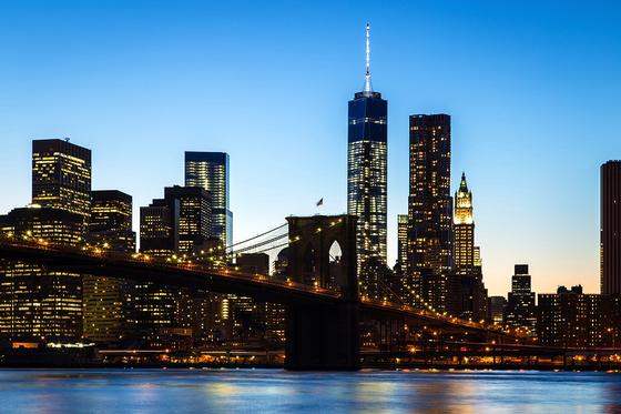 Blick auf das neue World Trade Center in New York, im Vordergrund die berühmte Brooklyn Bridge: Forscher aus Cambridge entwickeln gerade neue Baustoffe für die Stadt der Zukunft, die nach dem Vorbild von Knochen und Eiern aufgebaut sind.