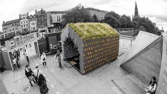 Rotterdamwatershed: Dieser Pavillon besteht aus 2.400 Regenrohren und sammelt Wasser. 