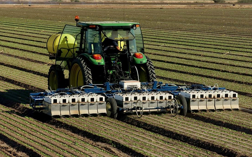 Der LettuceBot unterscheidet mit Kameras zwischen Salat und Unkraut. Unkrautmittel lassen sich dann ganz gezielt sprühen.