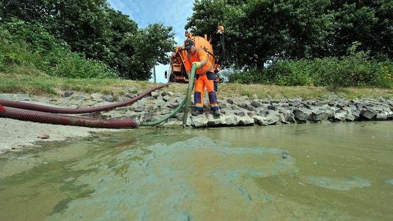 Zu spät: An diesem See hatten sich giftige Blaualgen schon so weit verbreitet, dass sie abgesaugt werden mussten – und im See nicht gebadet werden durfte. 