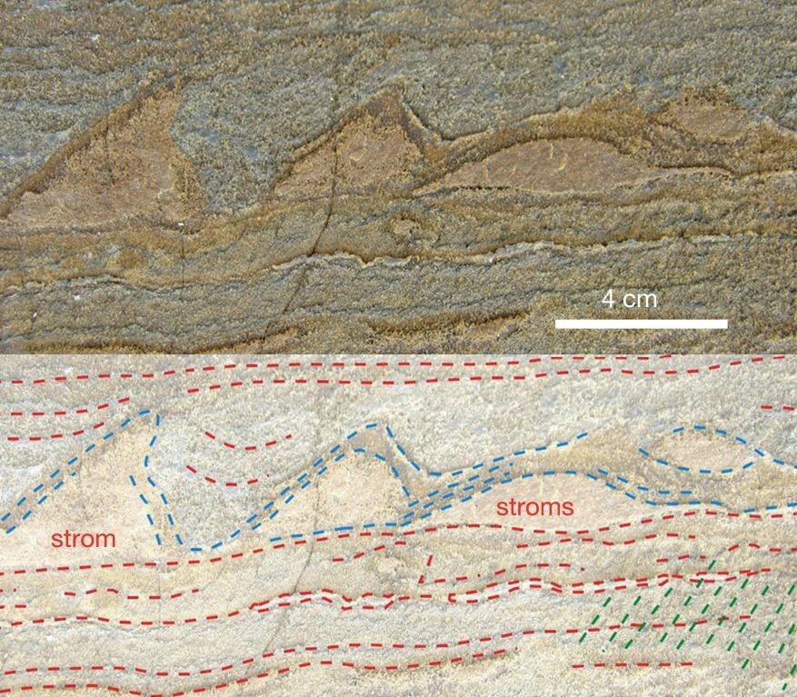 Bei den drei golfballgroßen Wellen im Gestein handelt es sich wahrscheinlich um 3,7 Mrd. Jahre alte versteinerte Bakterienkolonien. 