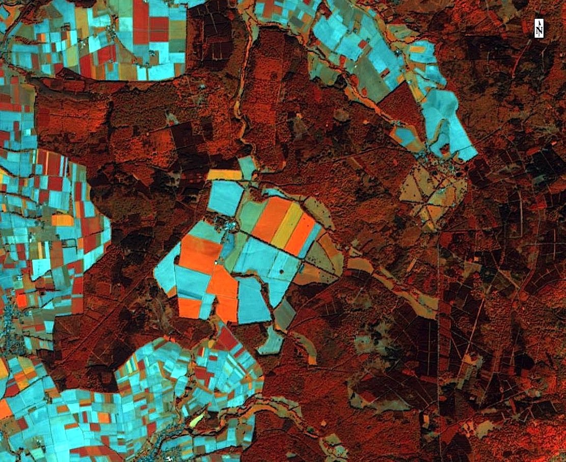 Mit solchen Aufnahmen aus dem All sollen Landwirte künftig ihre Äcker besser bestellen können. Diese falschfarbene Infrarotversion zeigt unterschiedliche Waldtypen wie Nadelwald in dunkelrot und Laubwald in hellrot. Orangefarbene Flächen zeigen Zuckerrüben und Zwischenfrüchte an, bläulichen Flächen sind offener Boden nach der Bestellung.
