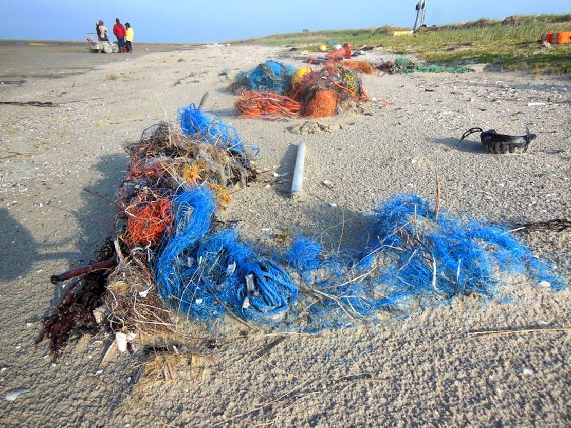 Netze, Plastiktüten und Becher: 300 Millionen Tonnen Plastik landen in den Weltmeeren. Jedes Jahr. Forscher der Universität Oldenburg wollen der Verschmutzung entgegensteuern. 