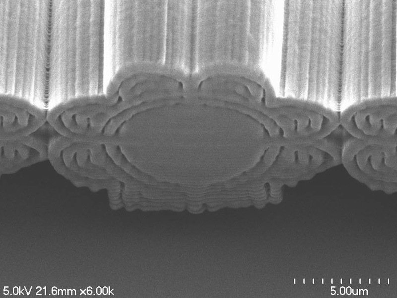 Die optimierte Blumenstruktur ist als 3D-Druck nur 15 Mikrometer groß, ein menschliches Haar ist etwa dreimal so dick.