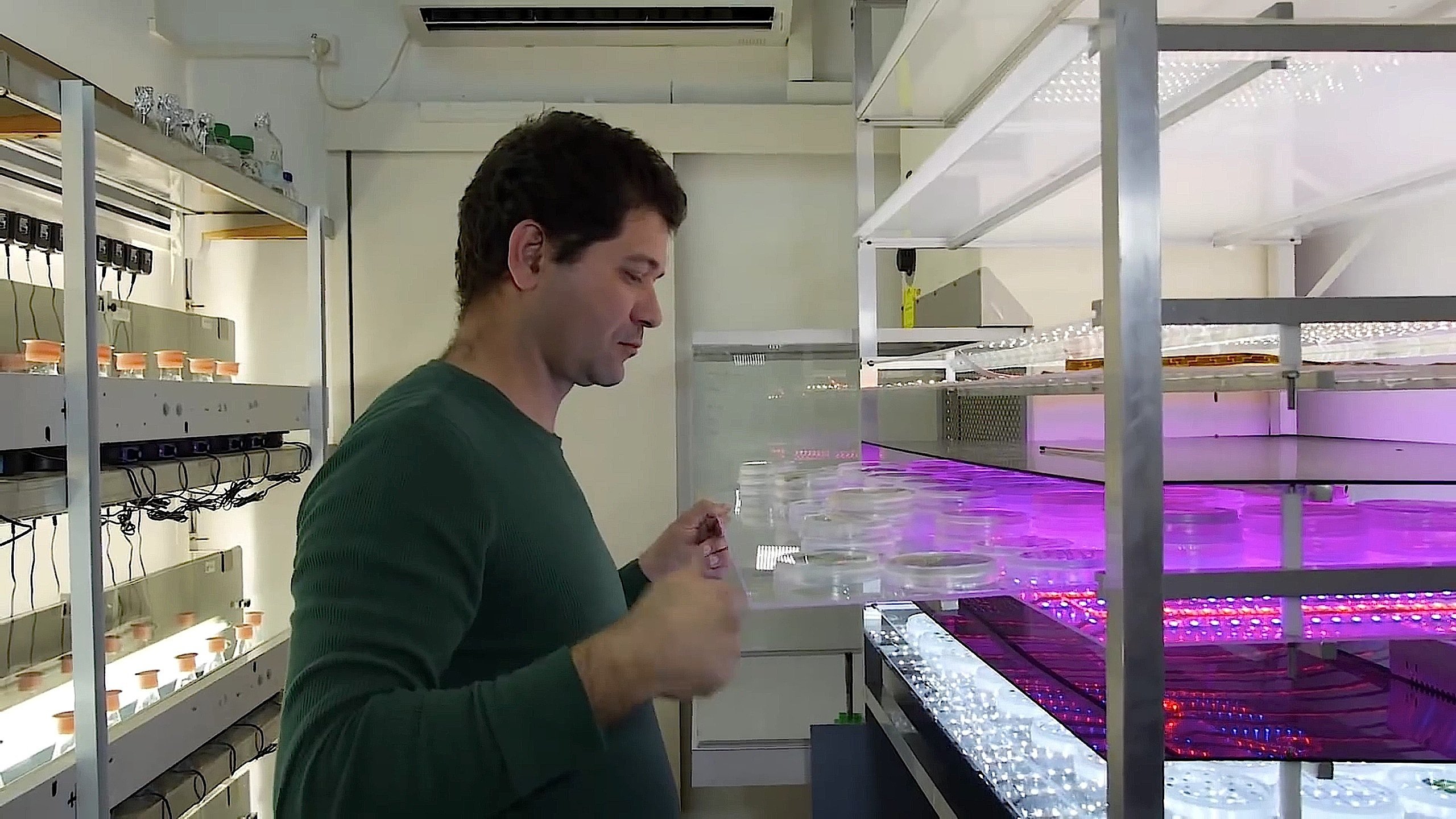 Forscher Dr. Iftach Yacoby von der Fakultät für Life Science der Universität Tel Aviv mit den genmanipulierten Mikroalgen.