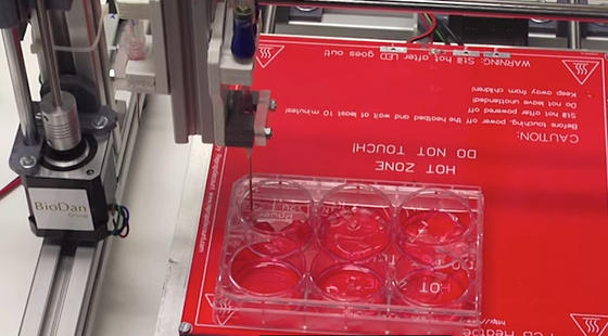 Spanische Forscher und das Unternehmen BioDan haben ein 3D-Druckverfahren entwickelt, mit dem sich funktionsfähige menschliche Haut herstellen lässt.