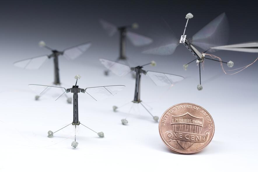 Sie fliegt wie ein Insekt: Die winzige Roboter-Biene der Harvard-Universität hebt mit 120 Flügelschlägen pro Sekunde ab. Doch bislang können die Flugroboter nicht sehen: Deshalb sollen sie mit kleinsten Laser-Augen ausgerüstet werden.