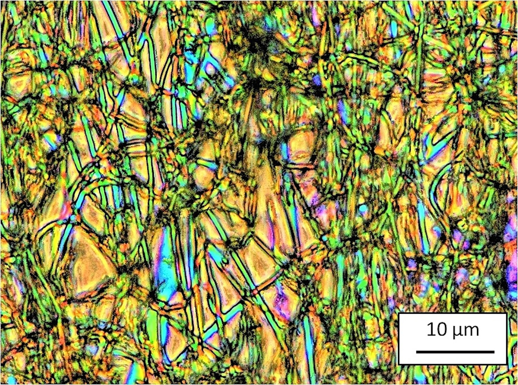 Mikroskopische Aufnahme der Nanodrähte.