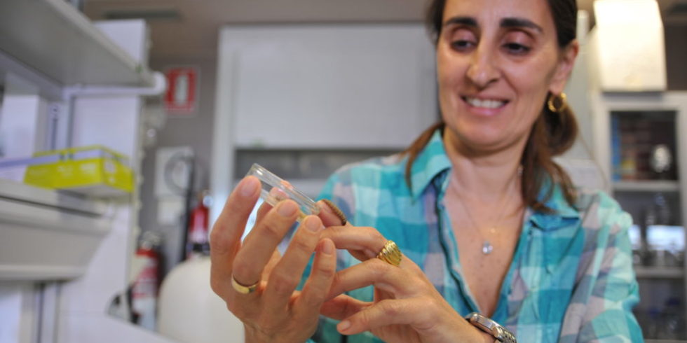 Federica Bertocchini mit den plastikfressenden Raupen im Labor. 
