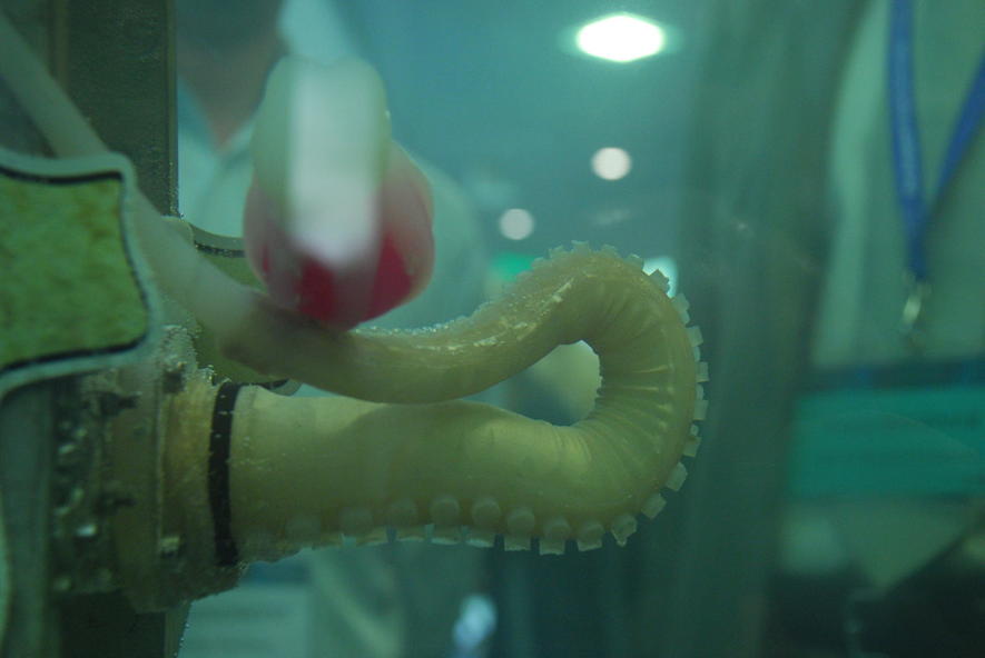 Dieser künstliche Oktopusarm kann sich biegen, strecken, zusammenziehen oder versteifen. 