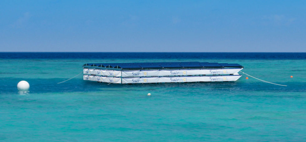 Aufbau der Solarinseln: Zur Hälfte liegen sie im Wasser, um Wellen besser standzuhalten.