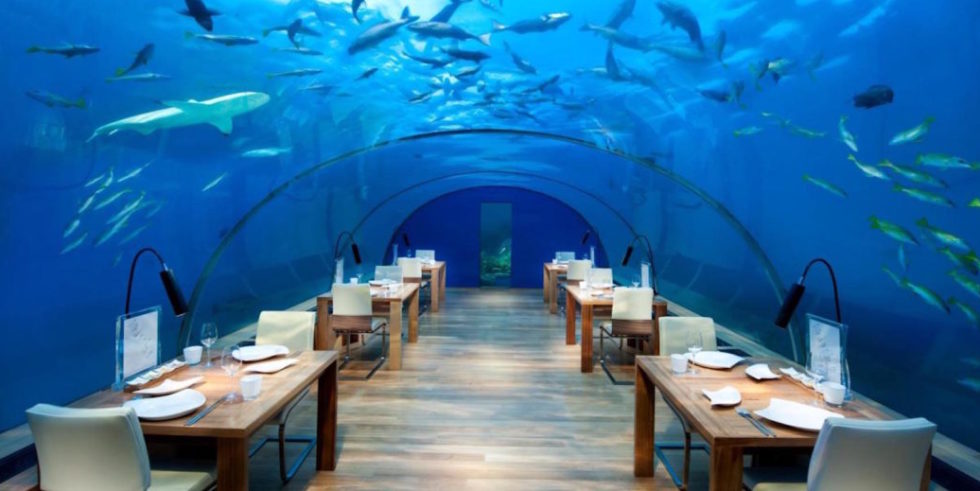 Der Hai schaut zu, wenn die Gäste kommen: Das „Conrad Maldives Rangali Island“ mit seinem Restaurant „Ithaa“, was in der maledivischen Amtssprache Dhivehi „Perlmutter“ bedeutet, war Vorreiter in Sachen Unterwasser-Restaurant. Das ganz besondere Restaurant feierte am 15. April 2005 die Eröffnung.