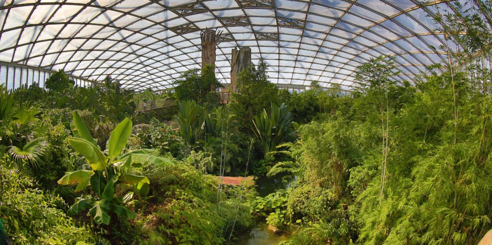 Das Goldwanaland im Leipziger Zoo ist eine der größten Tropenhallen der Welt.