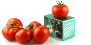 Man sieht den Lebensmittel-Scanner und einige Tomaten.