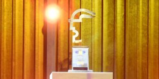 Preis des Hermes Awards