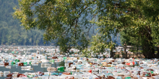 Plastikmüll in der Natur