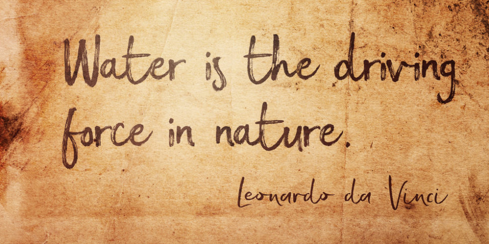 Zitat "Water is the driving force in nature" von Leonardo da Vinci