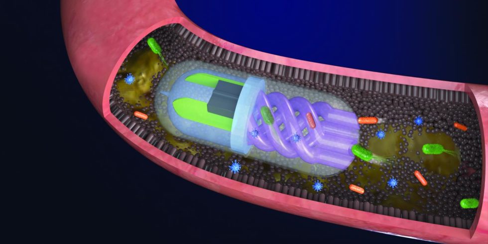 Bakterien im Darm werden durch eine osmotische "Pumpe" in der Pille in die spiralförmigen Kanäle gezogen.
Foto: Nano Lab, Tufts University