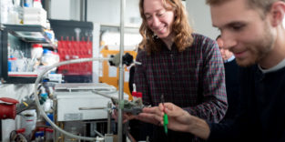 Zwei Forscher arbeiten an einer elektrochemischen Zelle.