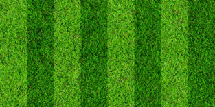 Rasenplatz Fußball stat und grün