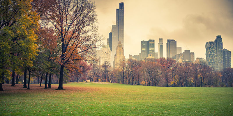 Herbst im Central Park