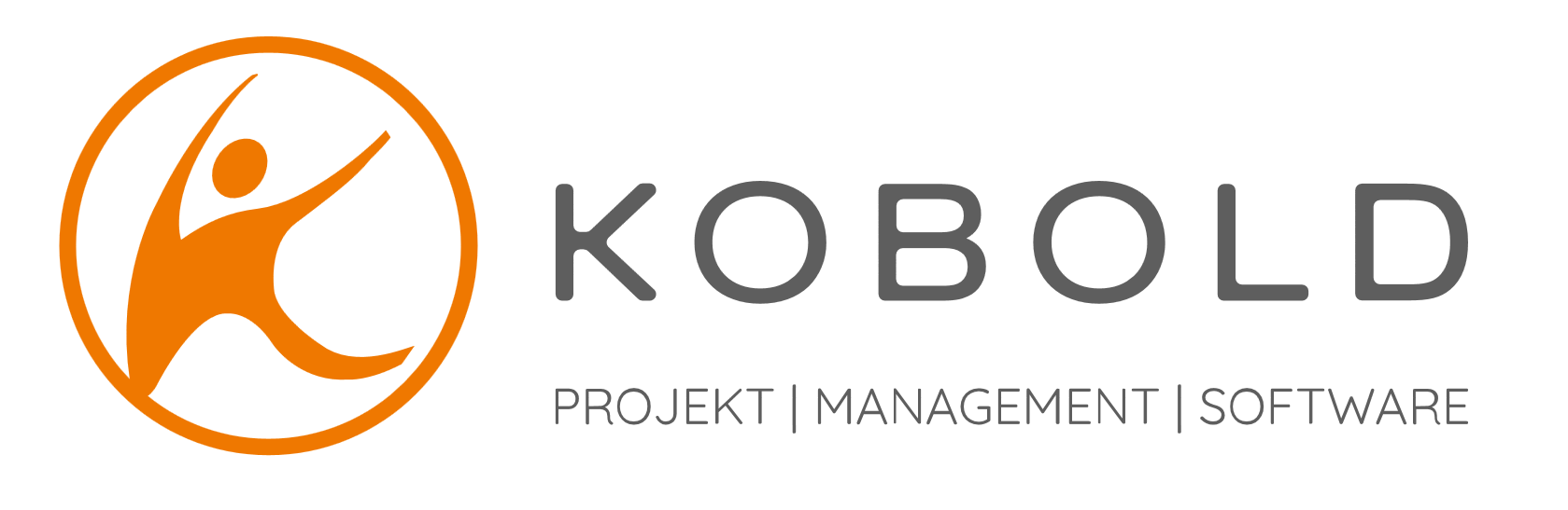 Logo von Kobold Management Systeme GmbH