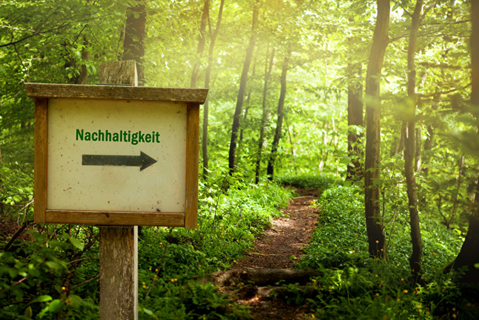 Wald mit Schild Nachhaltigkeit