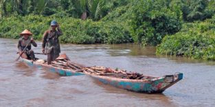 Boot mit Mangrovenholz