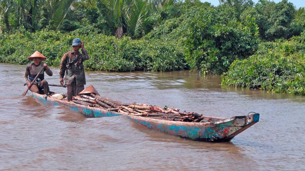 Boot mit Mangrovenholz