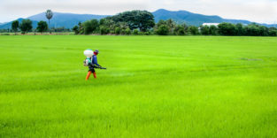 Farmer sprüht Insektizide.