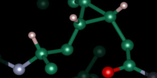 Struktur des Biopolyamids