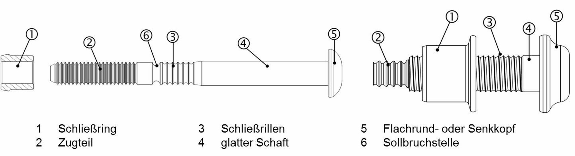 Bild 2 Schließringbolzensystem mit Sollbruchstelle und Abrissteil (links), ohne Abrissteil (rechts) [1]. Bild: Verfasser
