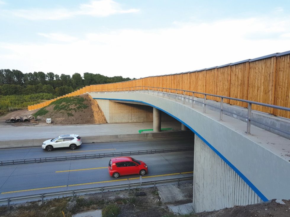 Bild 1 Irritationswand auf einer Querung der A7 bei Brokenlande.Quelle: Firma Fahlenkamp, Bruchhausen