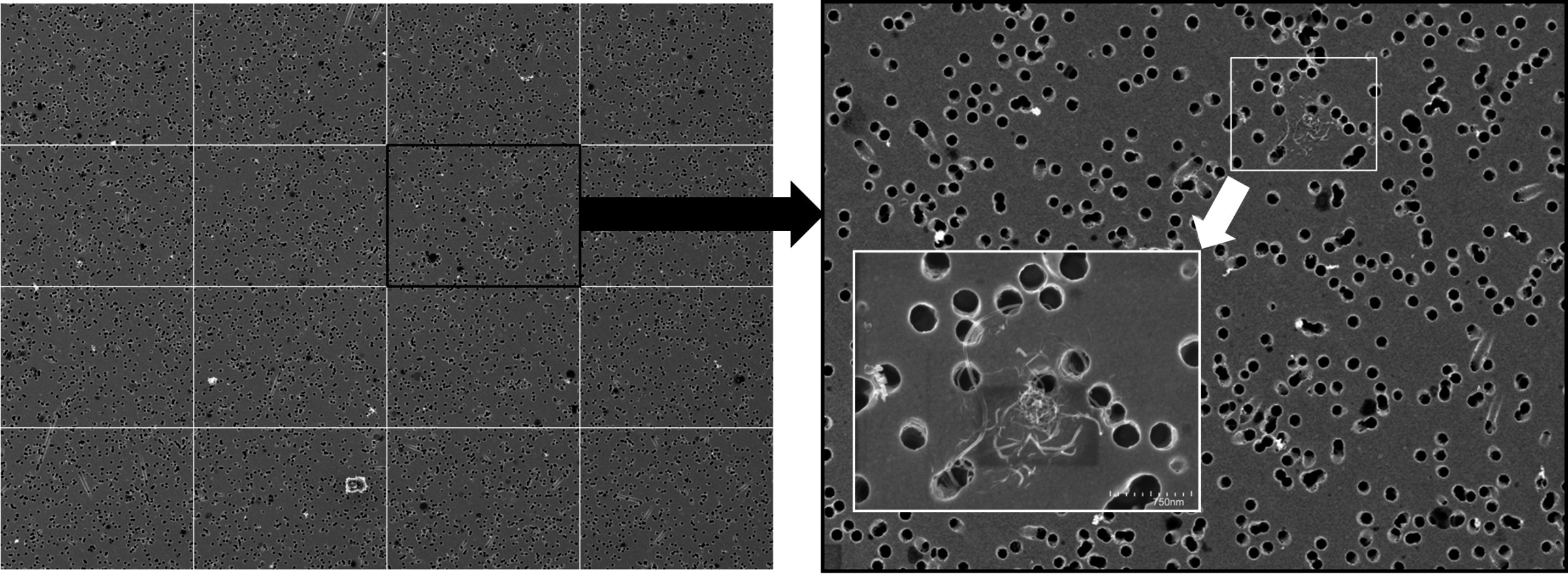 Bild 2. Zerteilung der digitalisierten 20-MPixel-Bilder im Nachgang zur REM-Analyse in 16 Teilbilder für eine pixelgenaue Darstellung auf einem Monitor mit dem Ziel einer visuellen Identifizierung nanoskaliger Fasern. Quelle: BAuA/ Suva / IFA