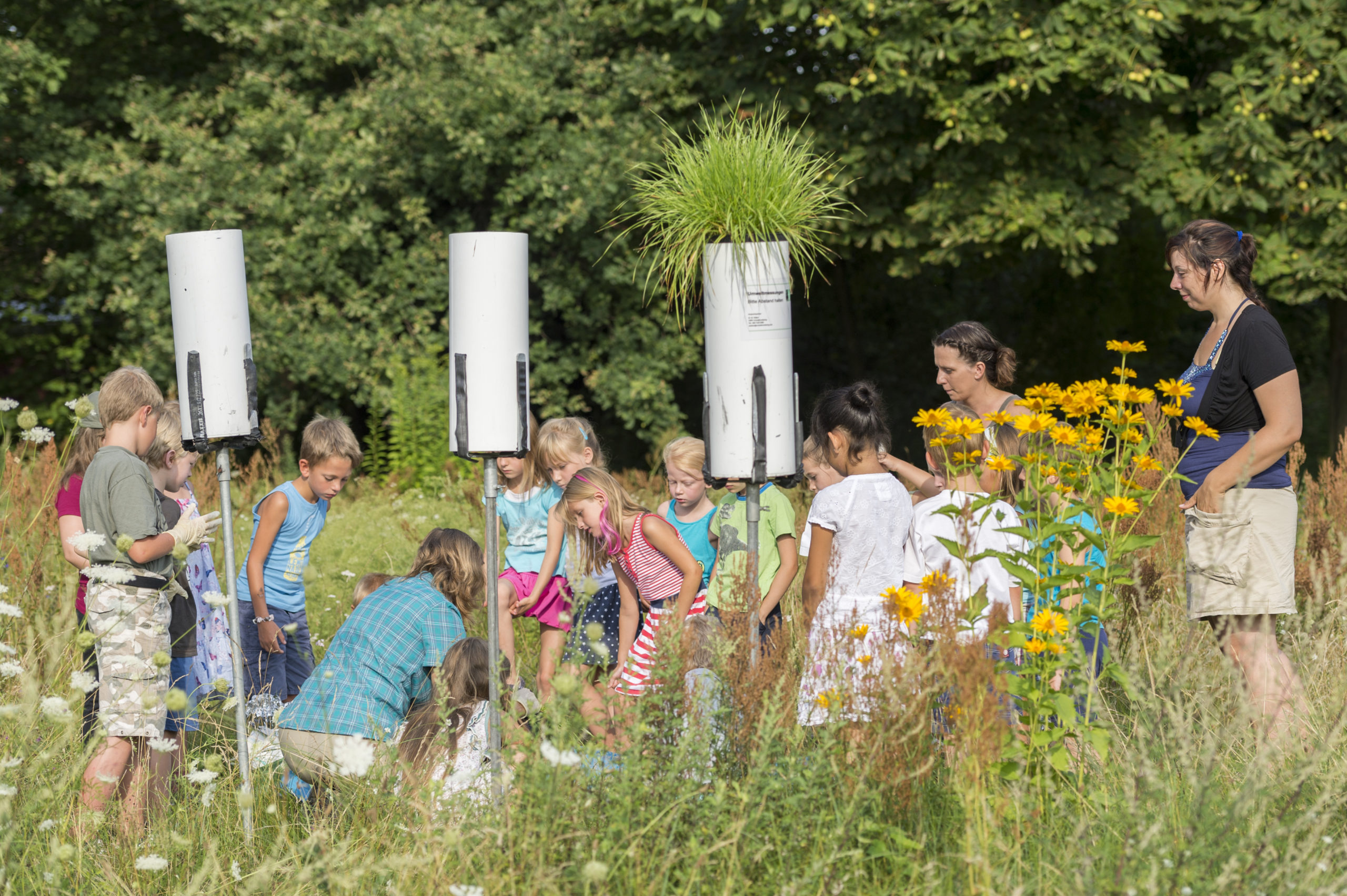 Bild 3. Graskulturernte am Messpunkt MP11 Siedlung Schulzendorf an einer Grundschule.  Bild: Günter Wicker