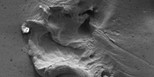 Mikroskopieaufnahme einer Schädigung