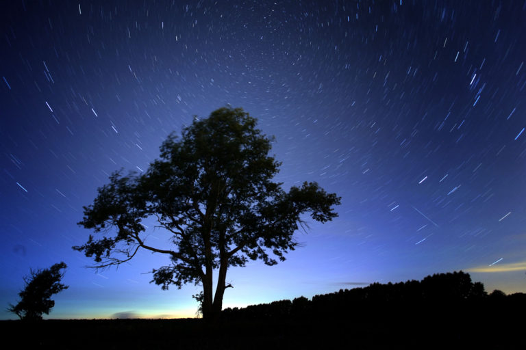 Sternschnuppen Himmel Baum