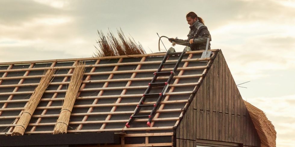 Das Dach des kleinen Hauses aus nachwachsenden Rohstoffen wird vom wissenschaftlichem Mitarbeiter Jano Knopp mit Riesenchinaschilf gedeckt. Foto: Volker Lannert/Uni Bonn