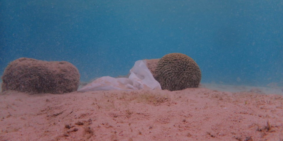 Bei Tauchgängen kann man Plastik am Meeresboden sehen – wie hier bei Curacao. Sobald es in größere Tiefen geht, wird es mit dieser Methode schwierig.
Foto: Joost den Haan - planblue