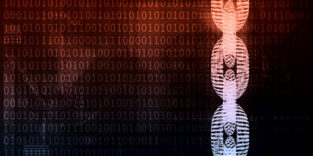 NFT: Das müssen Sie jetzt über den Trend wissen