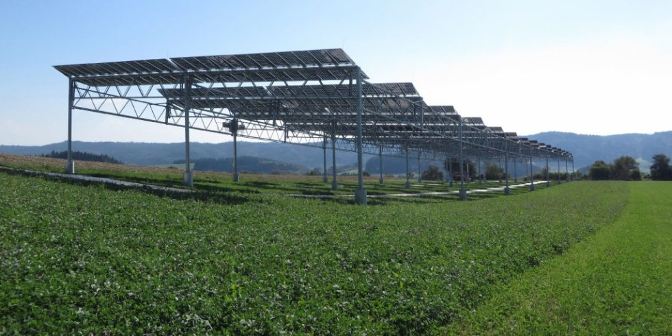 Agrophotovoltaik-Pilotanlage auf dem Gelände der Demeter-Hofgemeinschaft in Heggelbach. Unter den Photovoltaik-Modulen wachsen Nahrungsmittel. Bild: Fraunhofer ISE