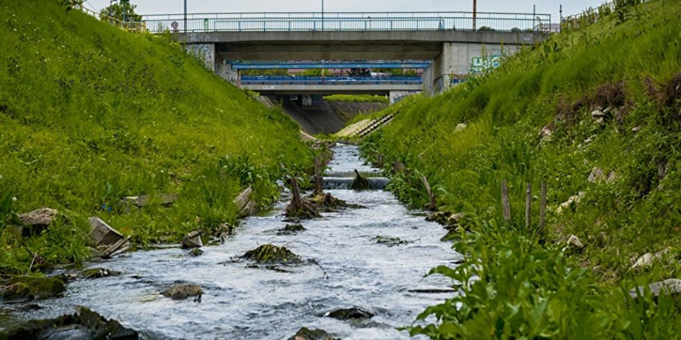 Flüsse und Seen sollten regelmäßig auf ihre Wasserqualität überprüft werden, gerade wenn ein Industriegebiet in der Nähe liegt. Foto: PantherMedia/svedoliver