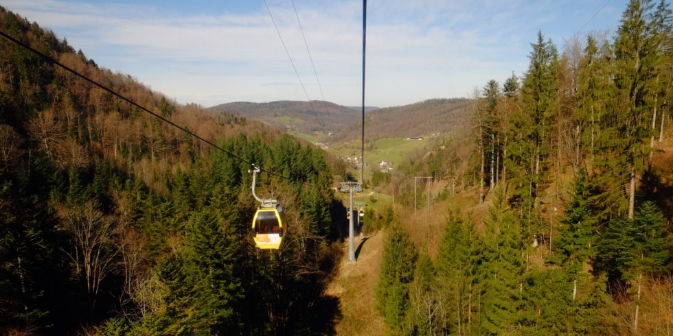 Seilbahn führt durch Wald