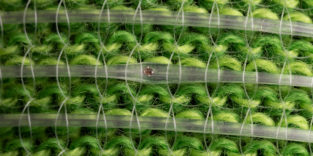 Werables mit neuen Funktionen