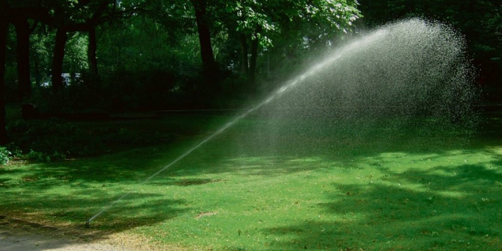 Bewässerung der Taunusanlage in Frankfurt am Main. Demnächst könnte sie ressourcenschonend aus den ständigen Grundwasserhaltungen einigerBüro- und Bankhochhäuser, die bisher ungenutzt in die Regenwasserkanalisation eingeleitet werden, gespeist werden. Foto: König